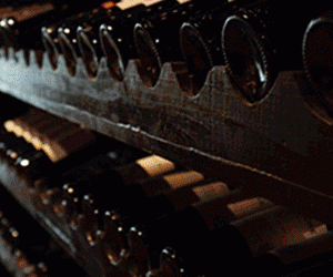 Offriamo sempre ai nostri clienti una qualità elevata